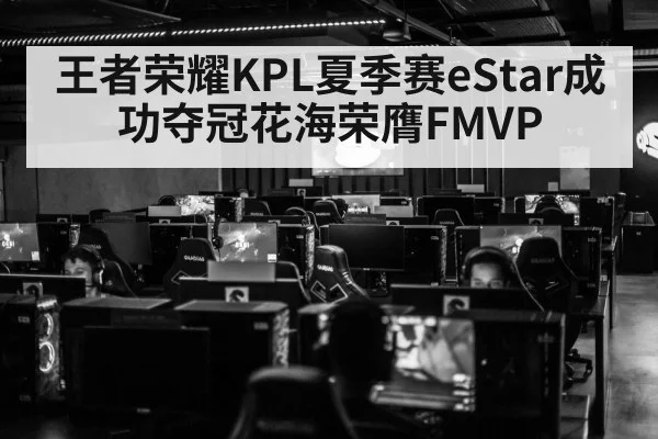 王者荣耀KPL夏季赛eStar成功夺冠花海荣膺FMVP